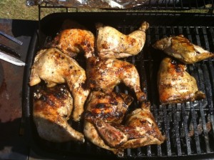 Grilled chicken ready to serve